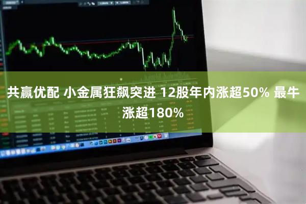 共赢优配 小金属狂飙突进 12股年内涨超50% 最牛涨超180%